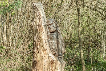 Wood Carving
