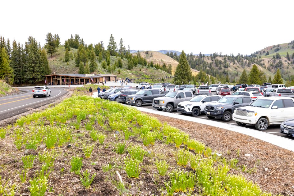 Tower General Store Parking area