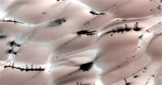 Icy Northern Dunes