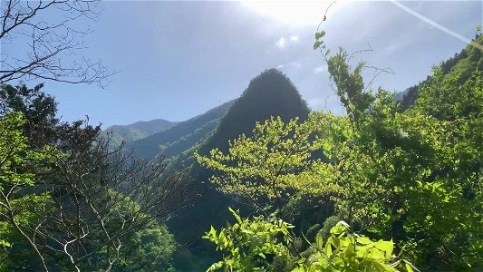 Nippara in Okutama-machi