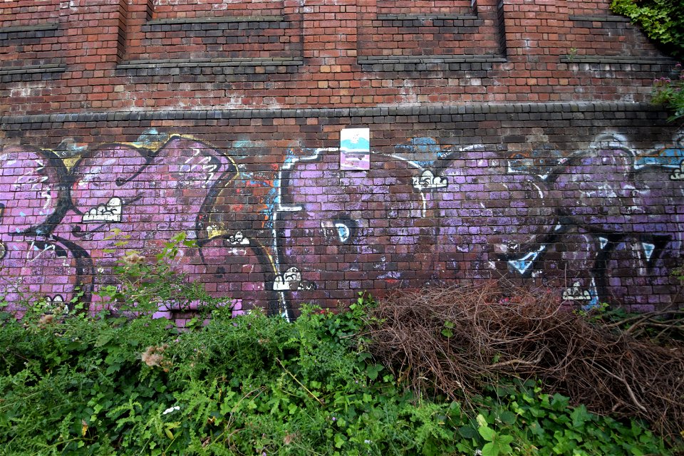 DSC_0704 (2)