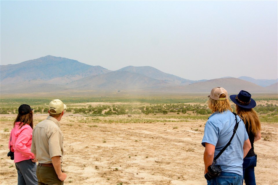 2021 Onaqui Herd Management Area