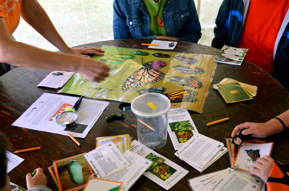 Monarch education photo