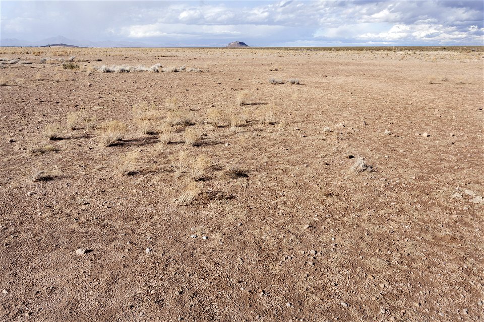 Southwest bajada of the Pyramid Mountains