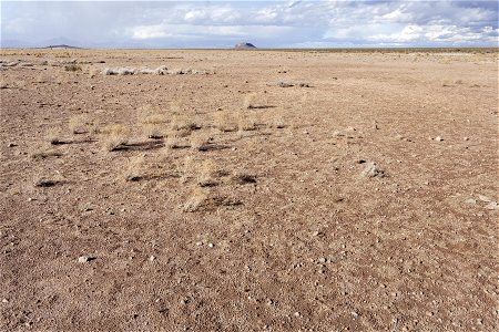 Southwest bajada of the Pyramid Mountains