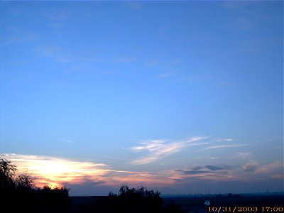 apus-caleavitan2003_1103_091146_16713422473_o