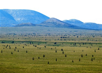 Boreal transition zone
