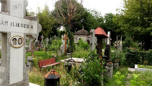 SfVineri_cemetery2021_0724_081252