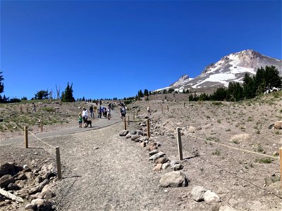 20210715-FS-Mt Hood- Above Timberline Lodge near Pacific Crest Trail trail access.