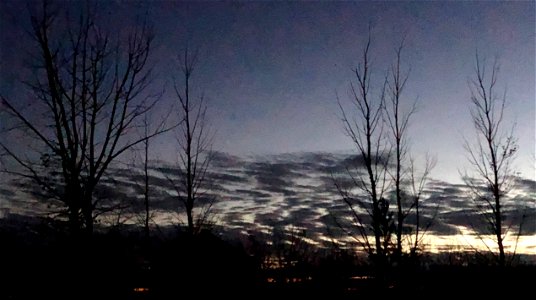 Fingerprint Clouds