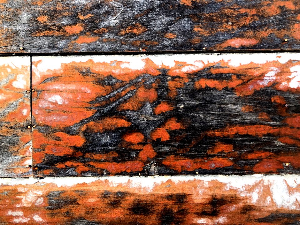 2021/365/314 Weathered Abstract 1