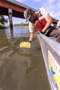 Invasive Carp eDNA Sampling on the James River in South Dakota. photo