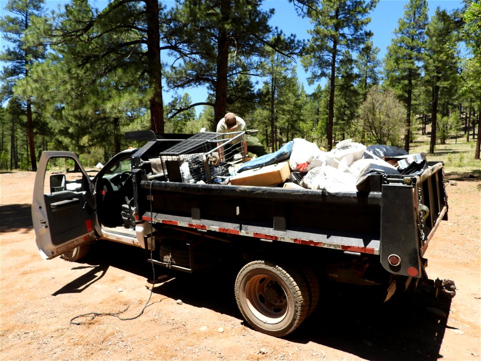 Pickin' Up in the Pines May 2022