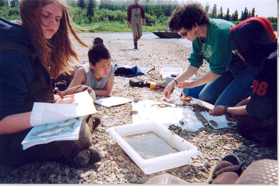 Aquatic insect indentification