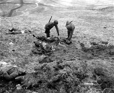 SC 179455 - Two American soldiers going over the body of a Japanese soldier killed in the "suicide raid" in search of souvenirs. 1 June, 1943. photo
