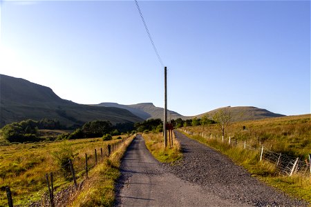 IMG_3247