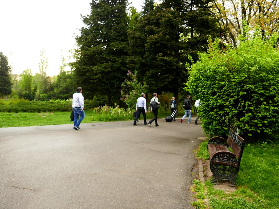 Herestrau Park in spring (27)
