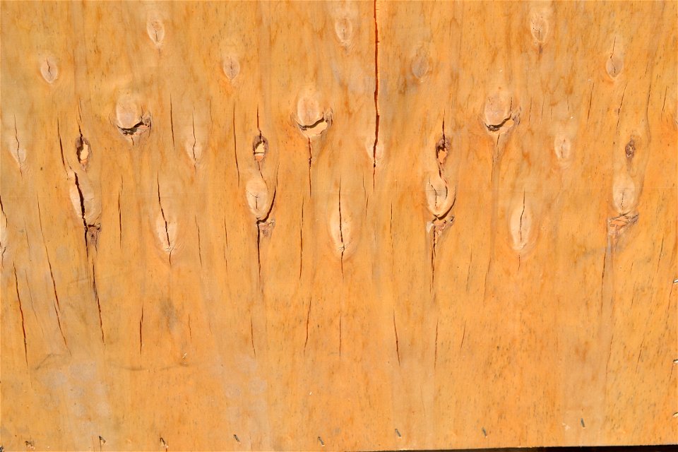 Texture