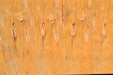 Texture