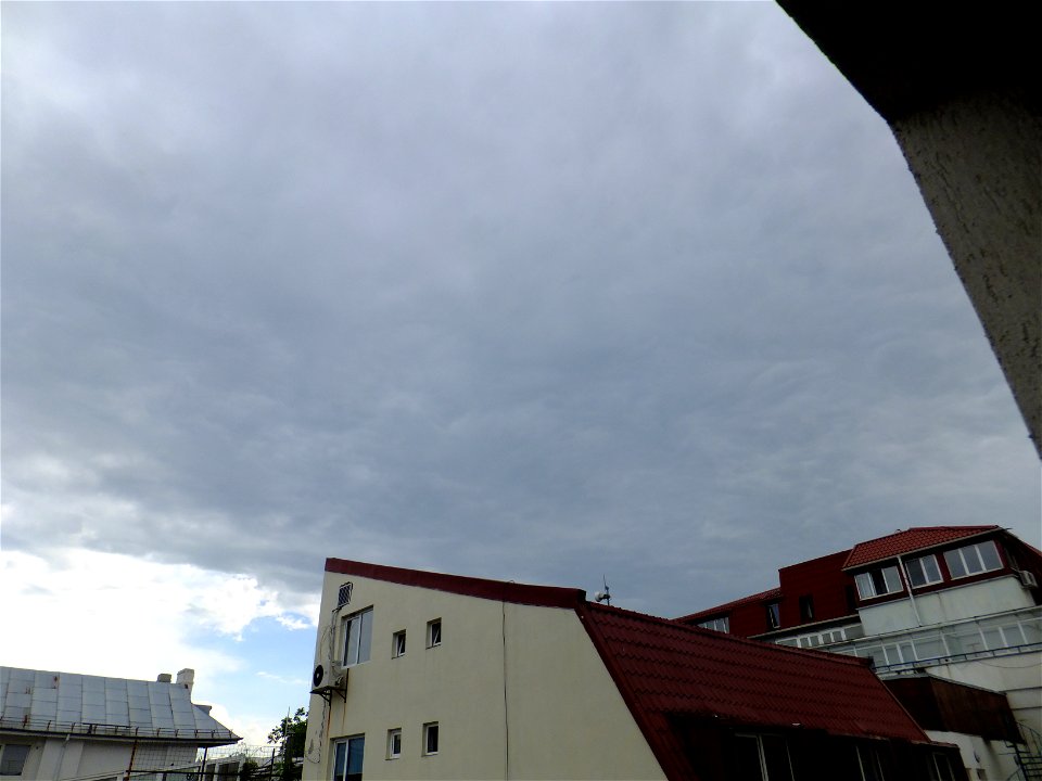 nori-sediu2015_0511_164435
