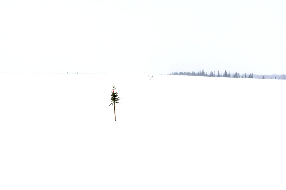 Winter trail markers. photo