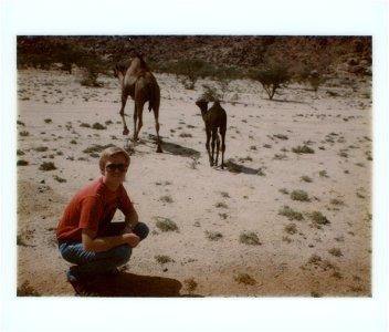 Saudi Snapshots