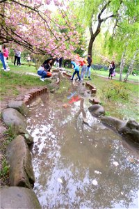 japanes_garden_rain_Herastrau (105)