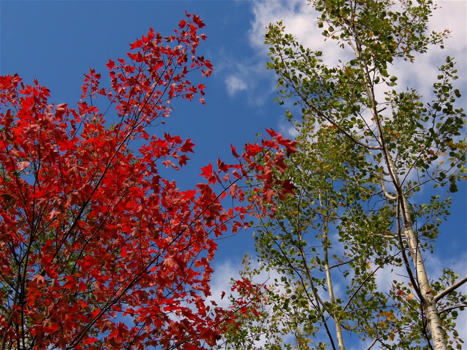 20210921-FS-Superior-SAR-011