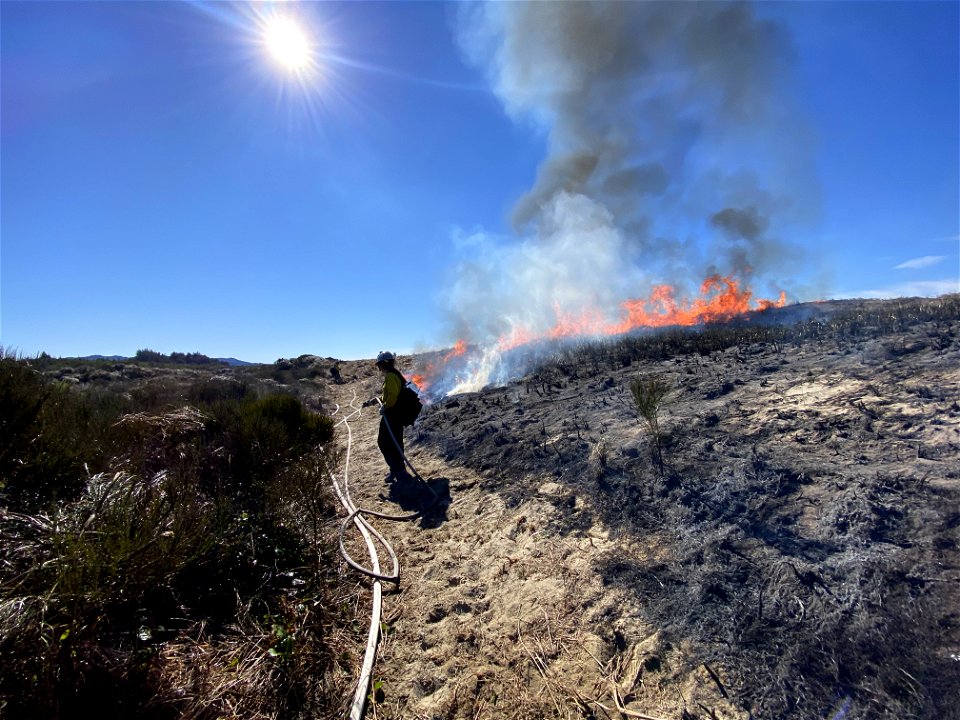 Siuslaw Oregon Dunes Prescribed Burn 2022