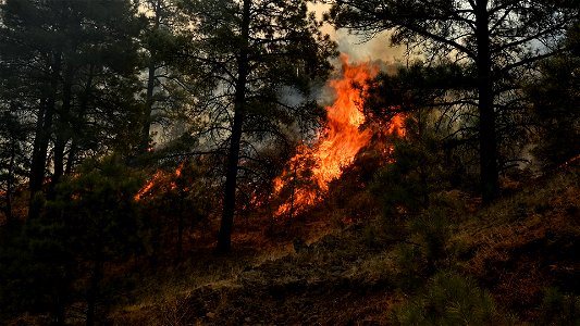 Doagy Fire photo