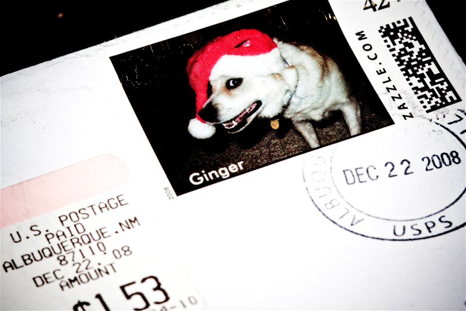 Ginger's Post-Christmas Albuquerque Surprise