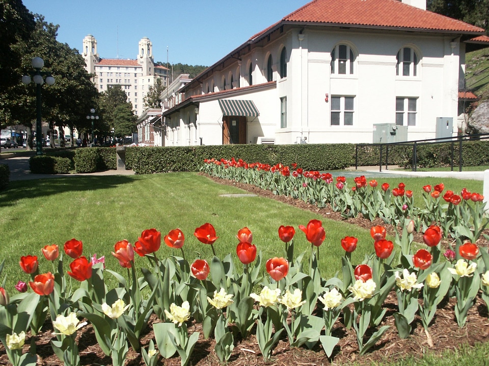 the Hale Bathhouse