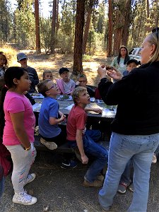 A group of kids learn about forest science at an Every Kid Outdoors Field Day