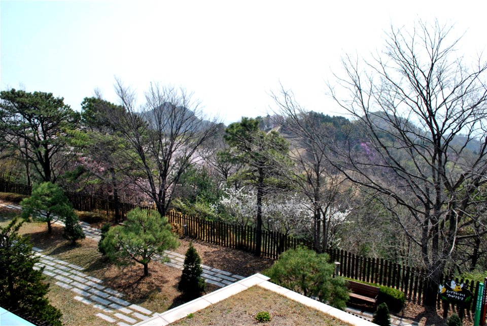 Younginsan Park Spring 2023