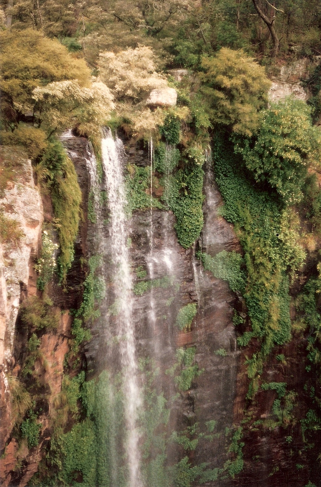 Queen Mary Falls photo