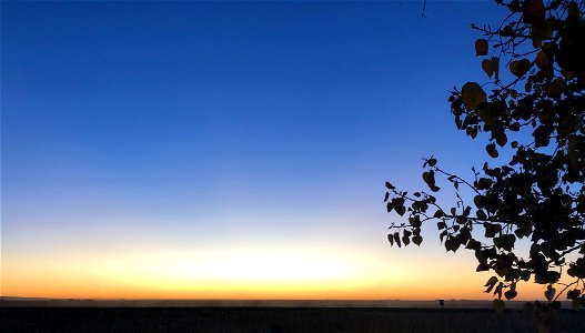 Spread Wide Sunset