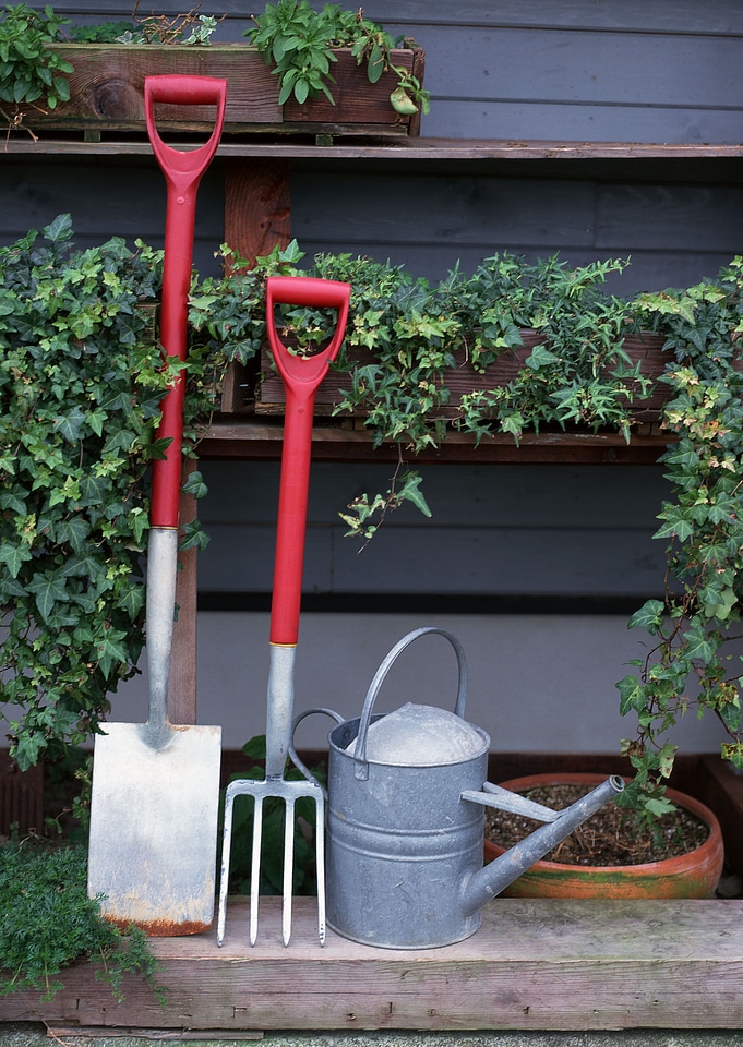 Garden tools and watering can with ivy