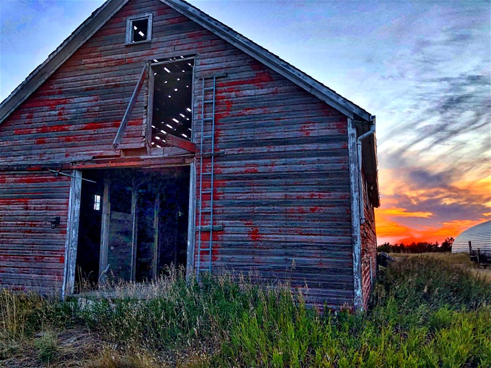 2022/365/261 Home Sweet Barn!