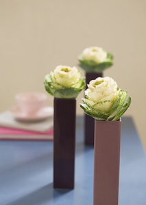 beautiful fall decorating with three flowering cabbage