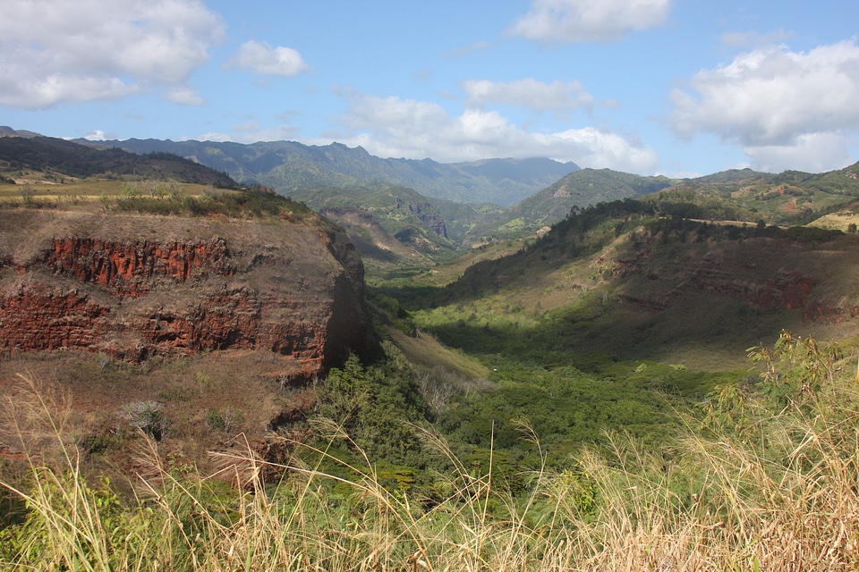 Overlooking Waimea Canyon State Park on the island of Kauai