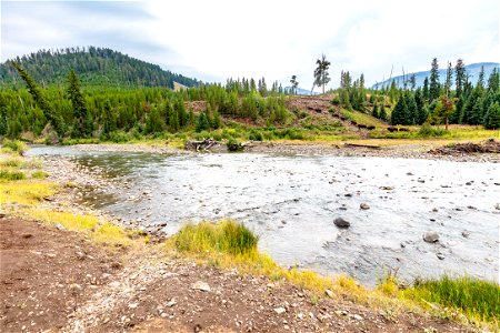 Cache Creek and group of bison