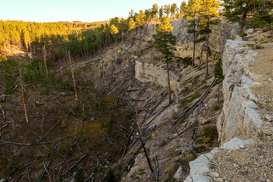 Steep cliffs and trees