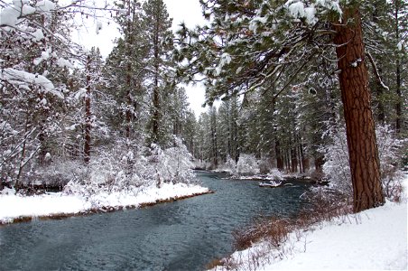 Metolius river in winter photo