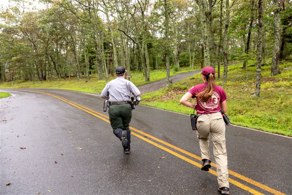 Park Wildlife Techs