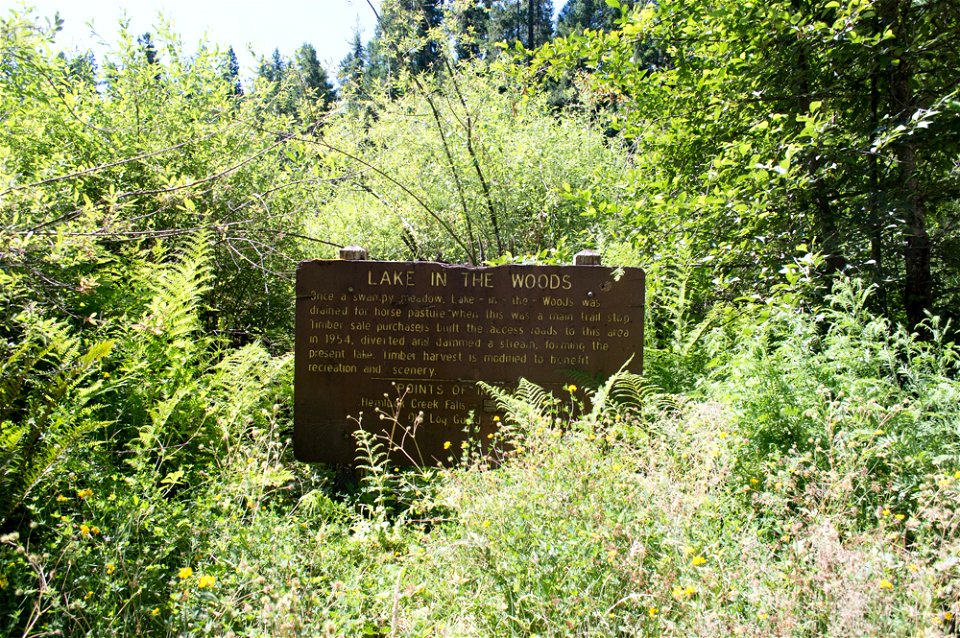 untitled-1388jpg_49364924182_o