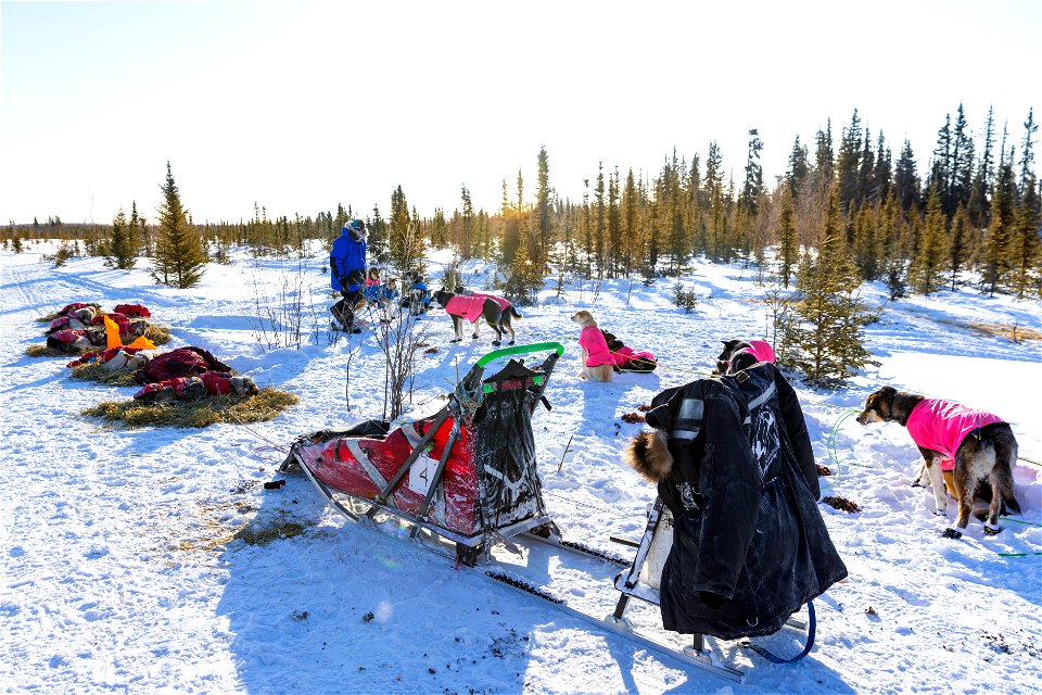 Kobuk 440 racers at Paniqsigvik shelter cabin.