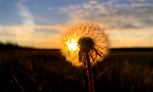 Spotting The Sunet