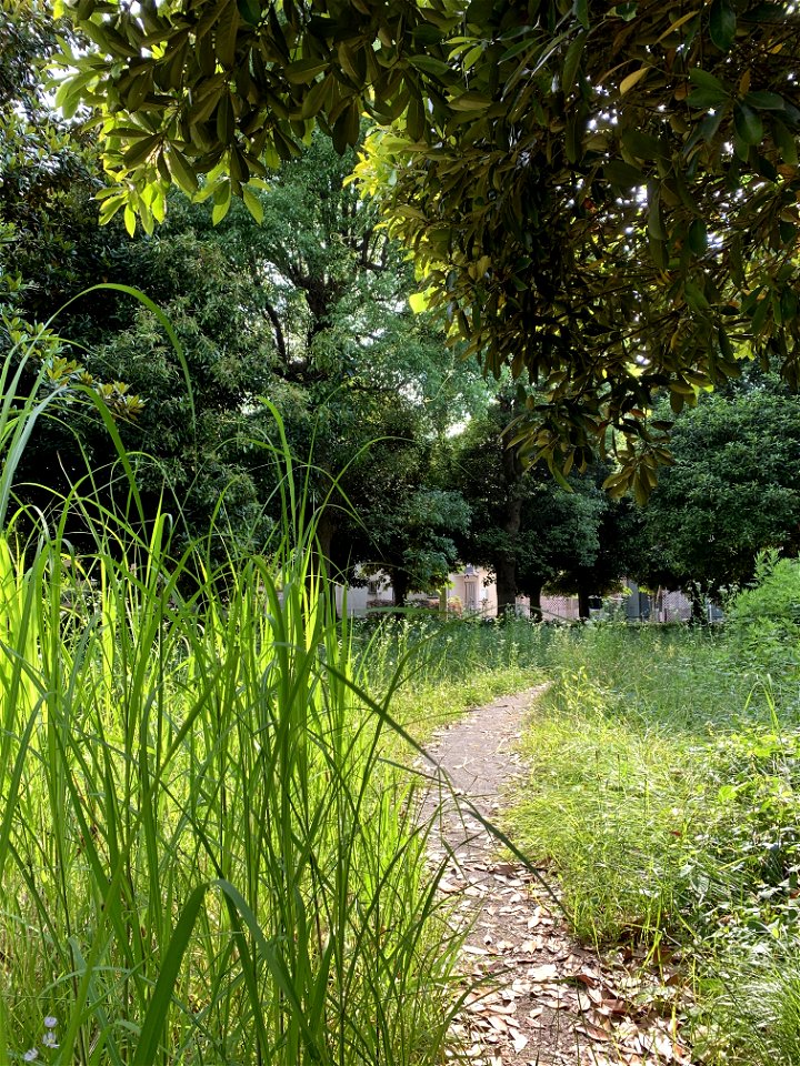 Yaho Green Space in Kunitachi-shi