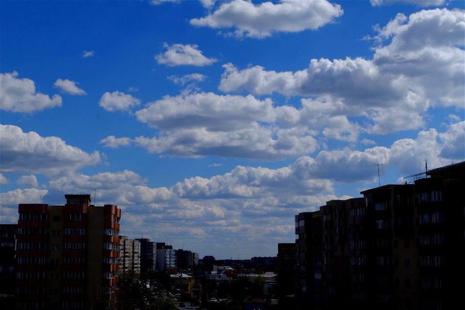 nori-Vitan2015_0404_140317
