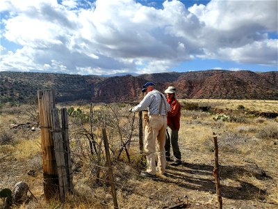 Volunteer: Red Rock Ranger District fence removal 2022 photo